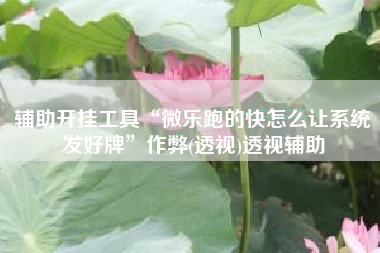 辅助开挂工具“微乐跑的快怎么让系统发好牌”作弊(透视)透视辅助