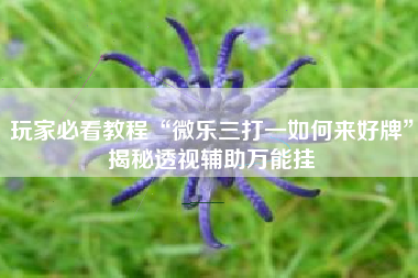 玩家必看教程“微乐三打一如何来好牌”揭秘透视辅助万能挂