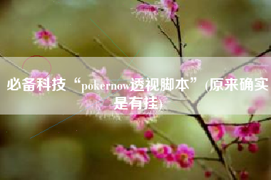 必备科技“pokernow透视脚本”(原来确实是有挂)