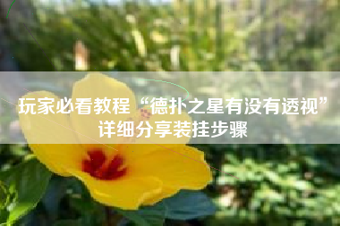 玩家必看教程“德扑之星有没有透视”详细分享装挂步骤