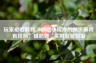 玩家必看教程“微信小程序的微乐麻将有挂吗”辅助器 - 实时智能回复