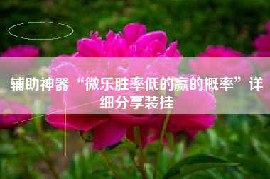 辅助神器“微乐胜率低的赢的概率”详细分享装挂