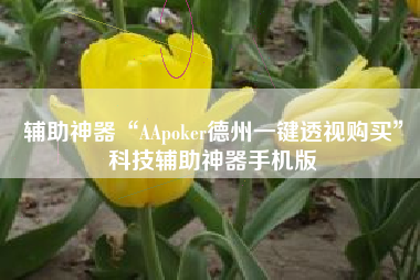 辅助神器“AApoker德州一键透视购买”科技辅助神器手机版