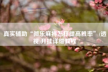 真实辅助“微乐麻将怎样提高胜率”(透视)开挂详细教程