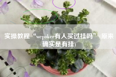 实操教程“wepoker有人买过挂吗”(原来确实是有挂)