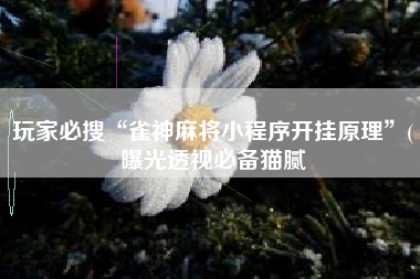 玩家必搜“雀神麻将小程序开挂原理”(曝光透视必备猫腻