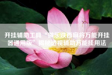 开挂辅助工具“微乐陕西麻将万能开挂器通用版”揭秘透视辅助万能挂用法