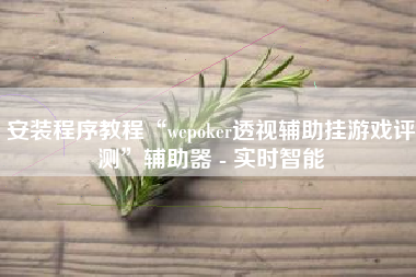 安装程序教程“wepoker透视辅助挂游戏评测	”辅助器 - 实时智能