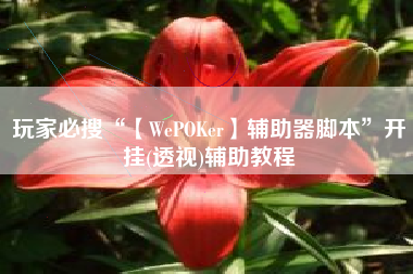 玩家必搜“【WePOKer】辅助器脚本	”开挂(透视)辅助教程