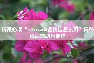 玩家必读“pokerworld透视挂怎么用”揭秘透视辅助万能挂