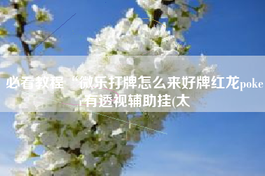 必看教程“微乐打牌怎么来好牌红龙poker有透视辅助挂(太