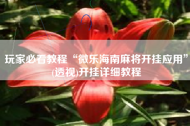 玩家必看教程“微乐海南麻将开挂应用	”(透视)开挂详细教程