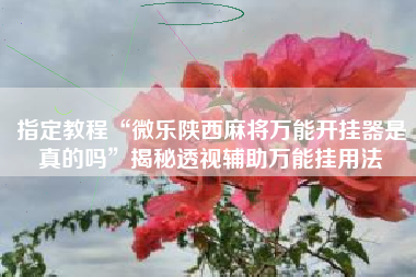 指定教程“微乐陕西麻将万能开挂器是真的吗”揭秘透视辅助万能挂用法