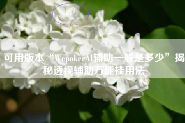 可用版本“WepokerAI辅助一般是多少”揭秘透视辅助万能挂用法