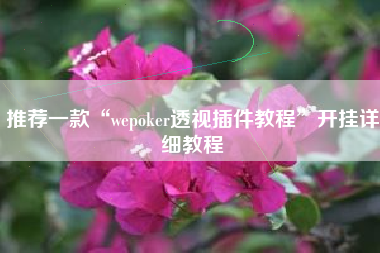 推荐一款“wepoker透视插件教程”开挂详细教程