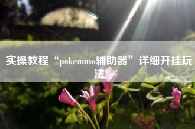 实操教程“pokemmo辅助器”详细开挂玩法