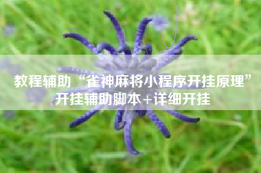 教程辅助“雀神麻将小程序开挂原理”开挂辅助脚本+详细开挂