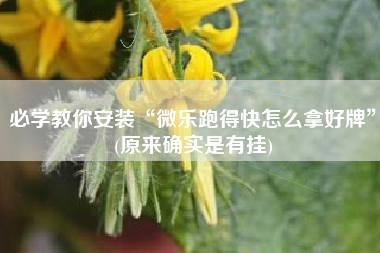 必学教你安装“微乐跑得快怎么拿好牌”(原来确实是有挂)