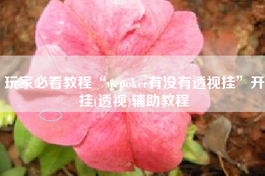 玩家必看教程“wepoker有没有透视挂”开挂(透视)辅助教程