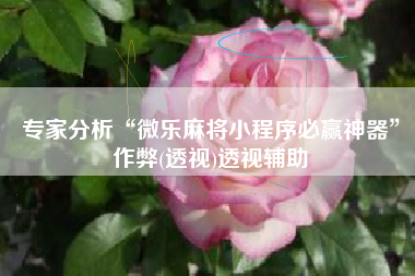 专家分析“微乐麻将小程序必赢神器”作弊(透视)透视辅助