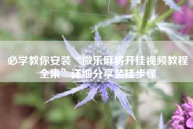 必学教你安装“微乐麻将开挂视频教程全集	”详细分享装挂步骤