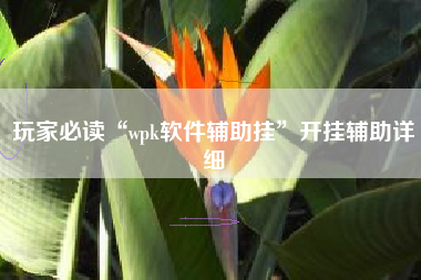玩家必读“wpk软件辅助挂”开挂辅助详细