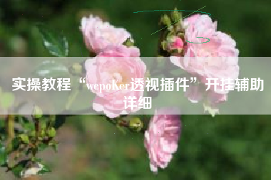 实操教程“wepoKer透视插件	”开挂辅助详细