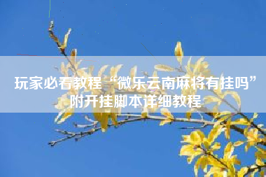 玩家必看教程“微乐云南麻将有挂吗”附开挂脚本详细教程