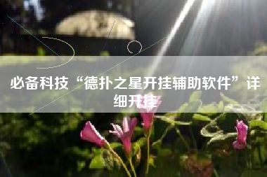 必备科技“德扑之星开挂辅助软件	”详细开挂