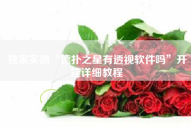 独家实测“德扑之星有透视软件吗”开挂详细教程