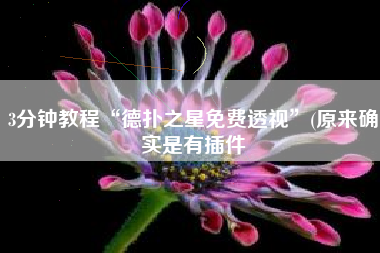 3分钟教程“德扑之星免费透视”(原来确实是有插件