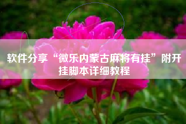 软件分享“微乐内蒙古麻将有挂”附开挂脚本详细教程