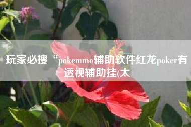 玩家必搜“pokemmo辅助软件红龙poker有透视辅助挂(太