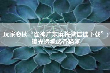玩家必读“雀神广东麻将微信挂下载”(曝光透视必备猫腻