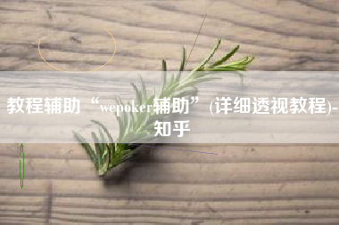 教程辅助“wepoker辅助	”(详细透视教程)-知乎