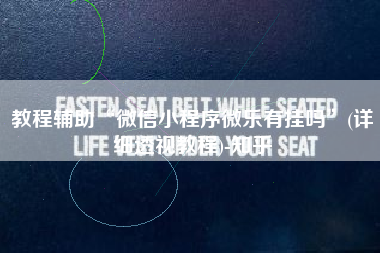 教程辅助“微信小程序微乐有挂吗	”(详细透视教程)-知乎