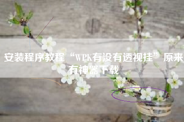 安装程序教程“WPK有没有透视挂	”原来有神器下载