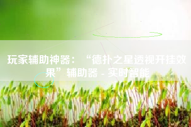 玩家辅助神器：“德扑之星透视开挂效果	”辅助器 - 实时智能