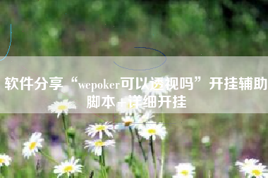 软件分享“wepoker可以透视吗	”开挂辅助脚本+详细开挂