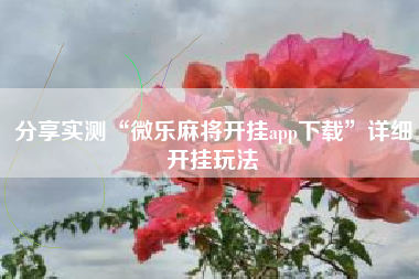 分享实测“微乐麻将开挂app下载	”详细开挂玩法
