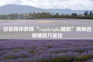 安装程序教程“wepokerplus辅助	”揭秘透视辅助万能挂