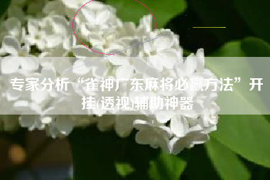 专家分析“雀神广东麻将必赢方法”开挂(透视)辅助神器