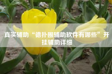 真实辅助“德扑圈辅助软件有哪些	”开挂辅助详细