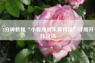 3分钟教程“小程序微乐麻将挂	”详细开挂玩法