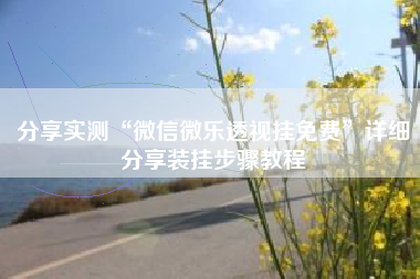 分享实测“微信微乐透视挂免费”详细分享装挂步骤教程