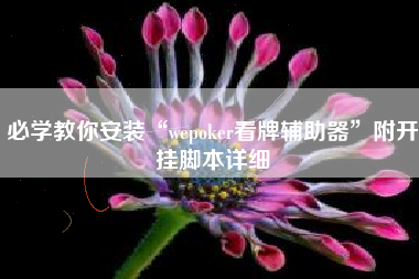 必学教你安装“wepoker看牌辅助器	”附开挂脚本详细