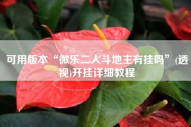 可用版本“微乐二人斗地主有挂吗”(透视)开挂详细教程