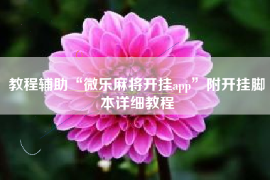 教程辅助“微乐麻将开挂app	”附开挂脚本详细教程