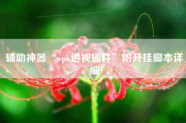 辅助神器“wpk透视插件”附开挂脚本详细