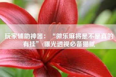 玩家辅助神器：“微乐麻将是不是真的有挂”(曝光透视必备猫腻